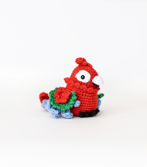 DSNX25 Craft Kit: Crochet Aviar