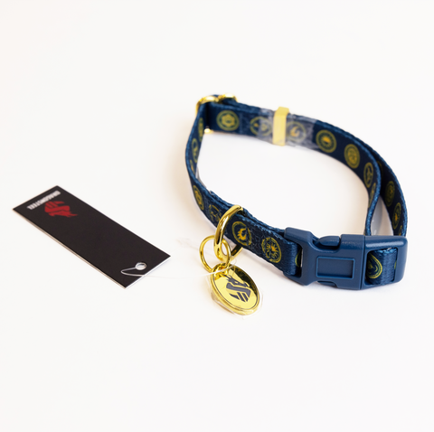 Cosmere Dog Collar