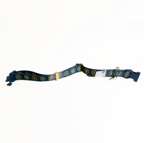 Cosmere Dog Collar