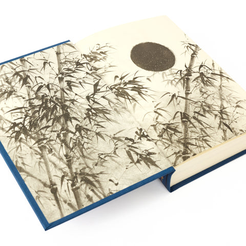 Yumi and the Nightmare Painter Premium Hardcover Book