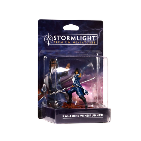 Kaladin Painted Premium Figure