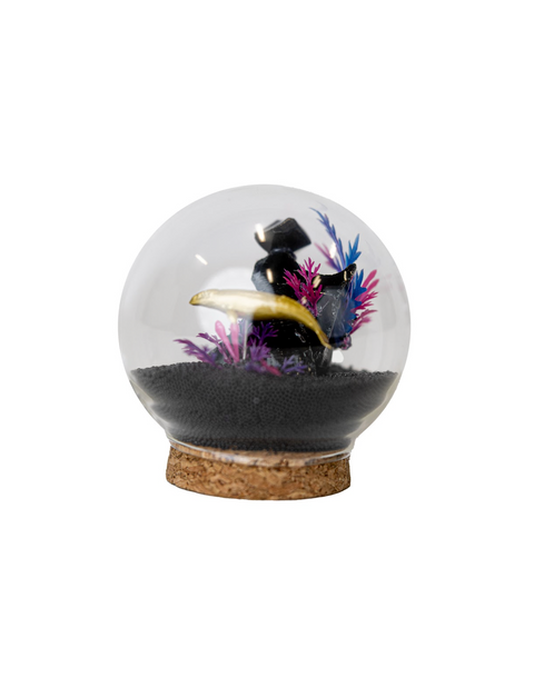 DSNX25 Craft Kit: Shadesmar in a Jar